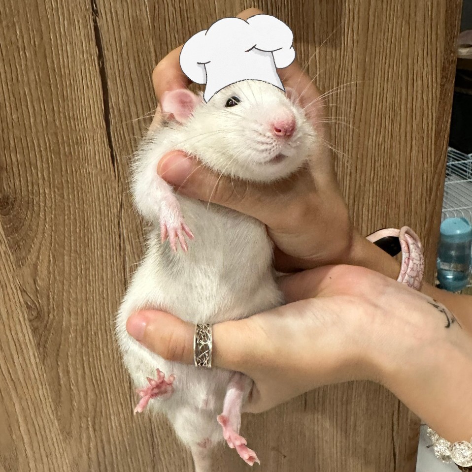 Love Chip Bông Thumbnail